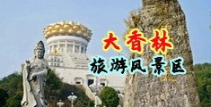美女胸部(18岁以下勿看)APP中国浙江-绍兴大香林旅游风景区